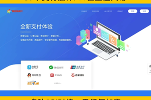 易支付系统源码 彩虹易支付H5三方支付通道插件搭建无加密授权